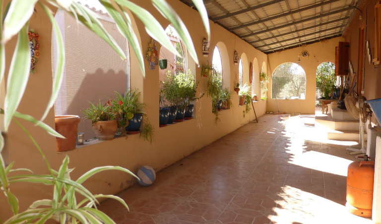 14 Bedroom Finca For Sale