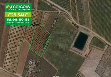 0 Bedroom Finca For Sale