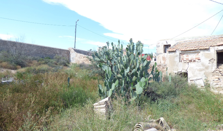 Plot For Sale - Los Muñoces