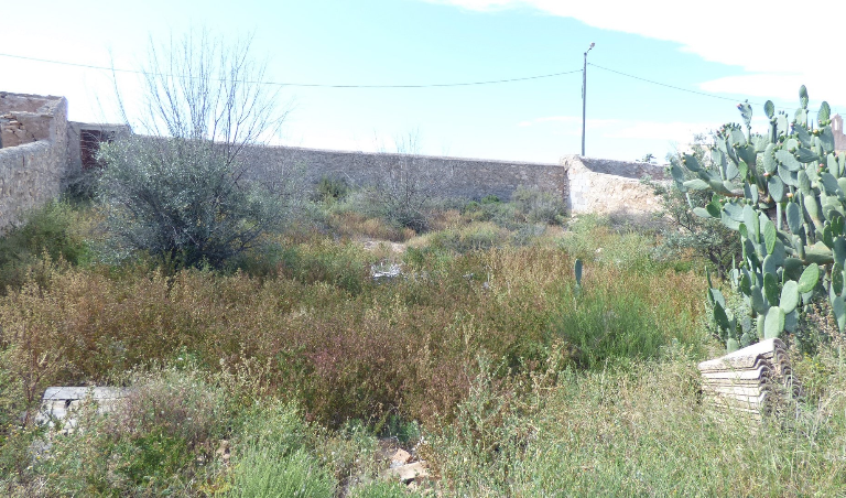 Plot For Sale - Los Muñoces