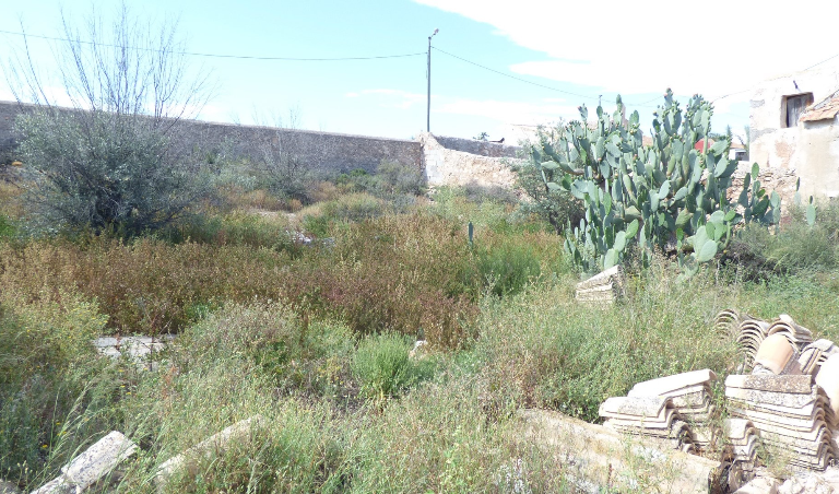 Plot For Sale - Los Muñoces