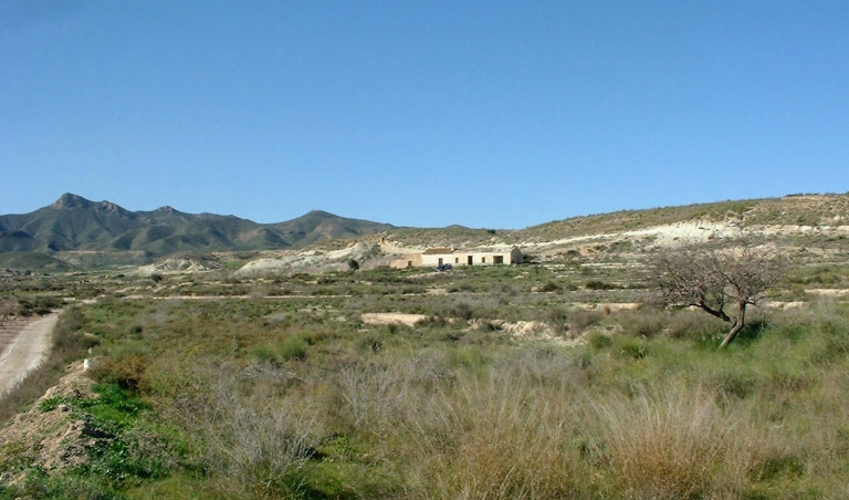 Terrain de 0 chambre à vendre