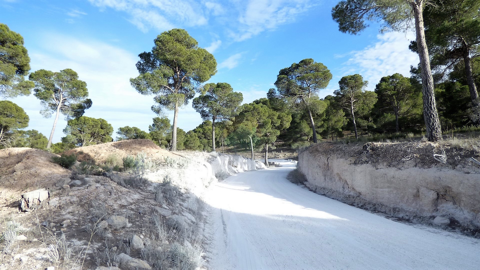 Plot For Sale - Lorca