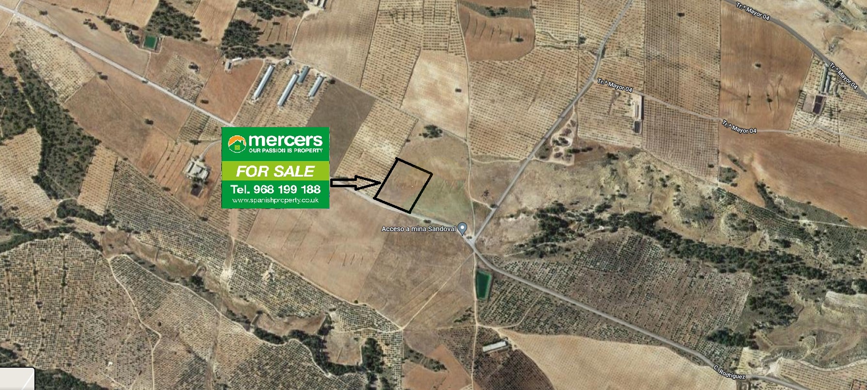 Plot For Sale - Lorca