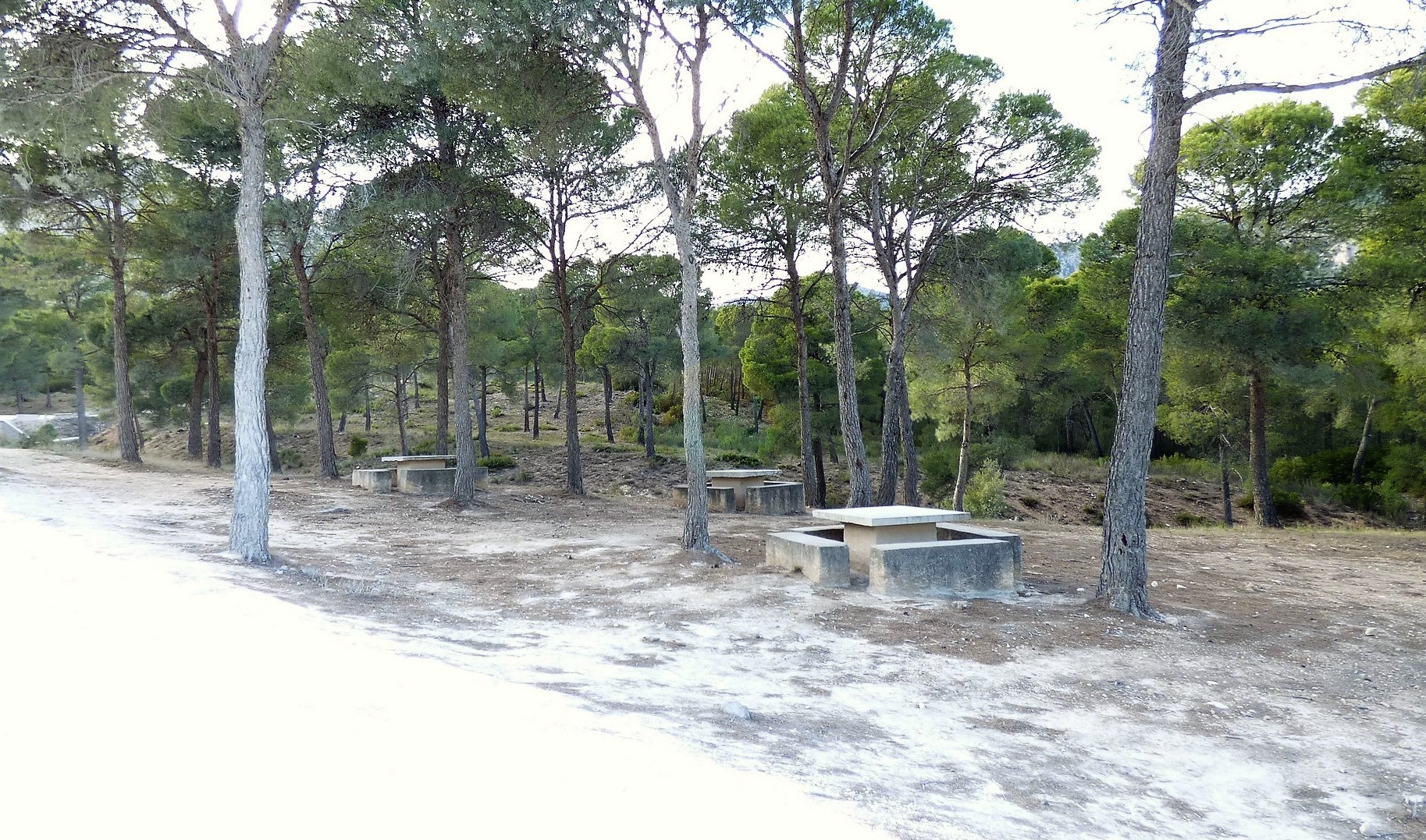 Plot For Sale - Lorca