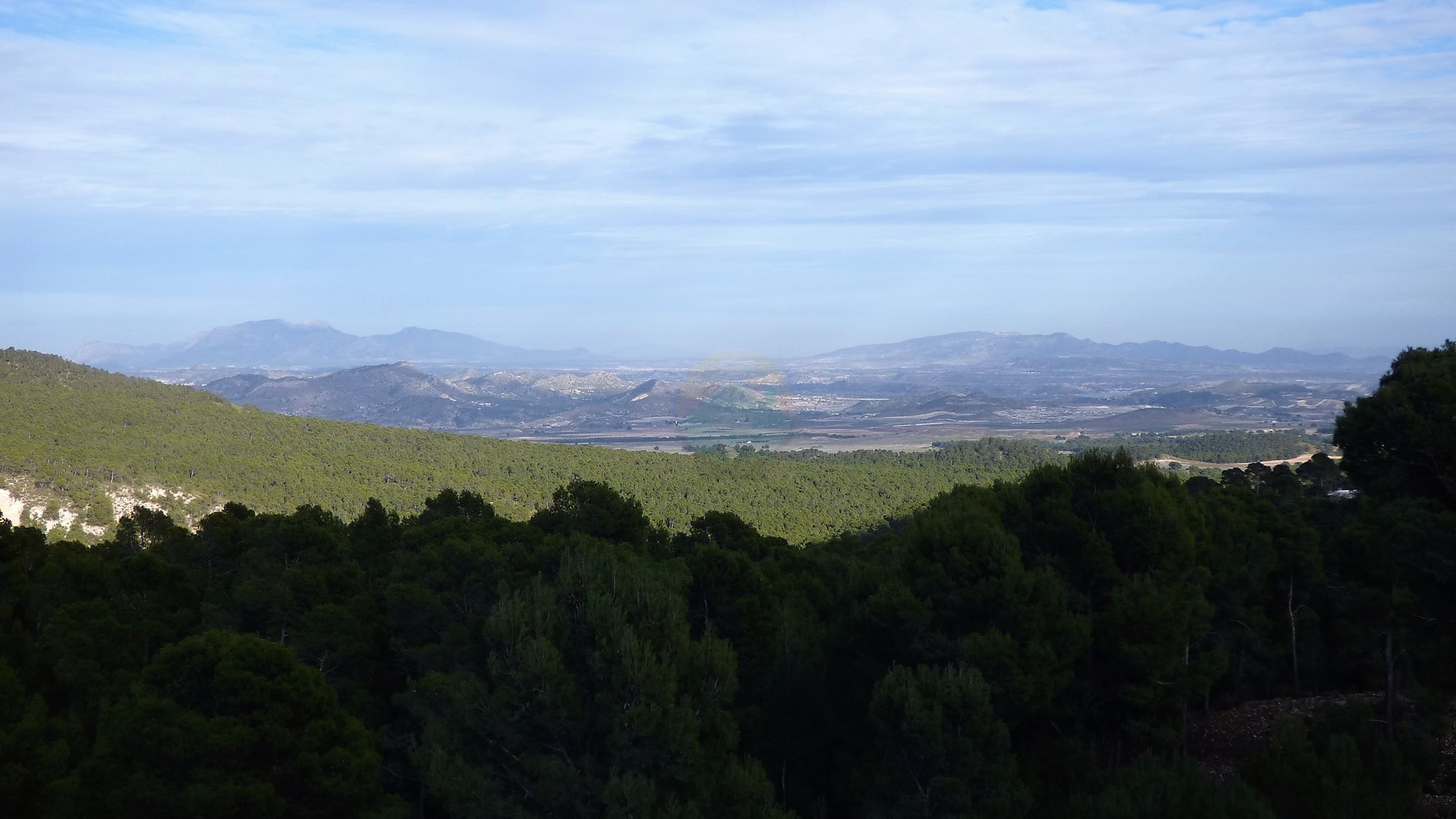 Plot For Sale - Lorca