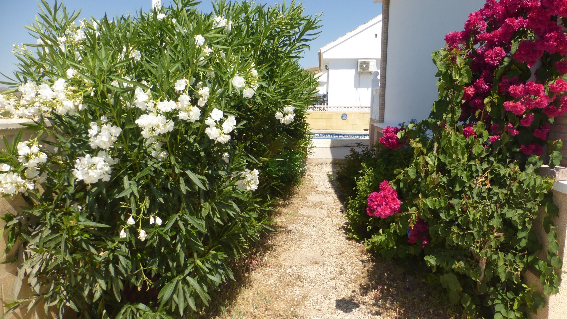 2 Bedroom Detached Villa For Sale