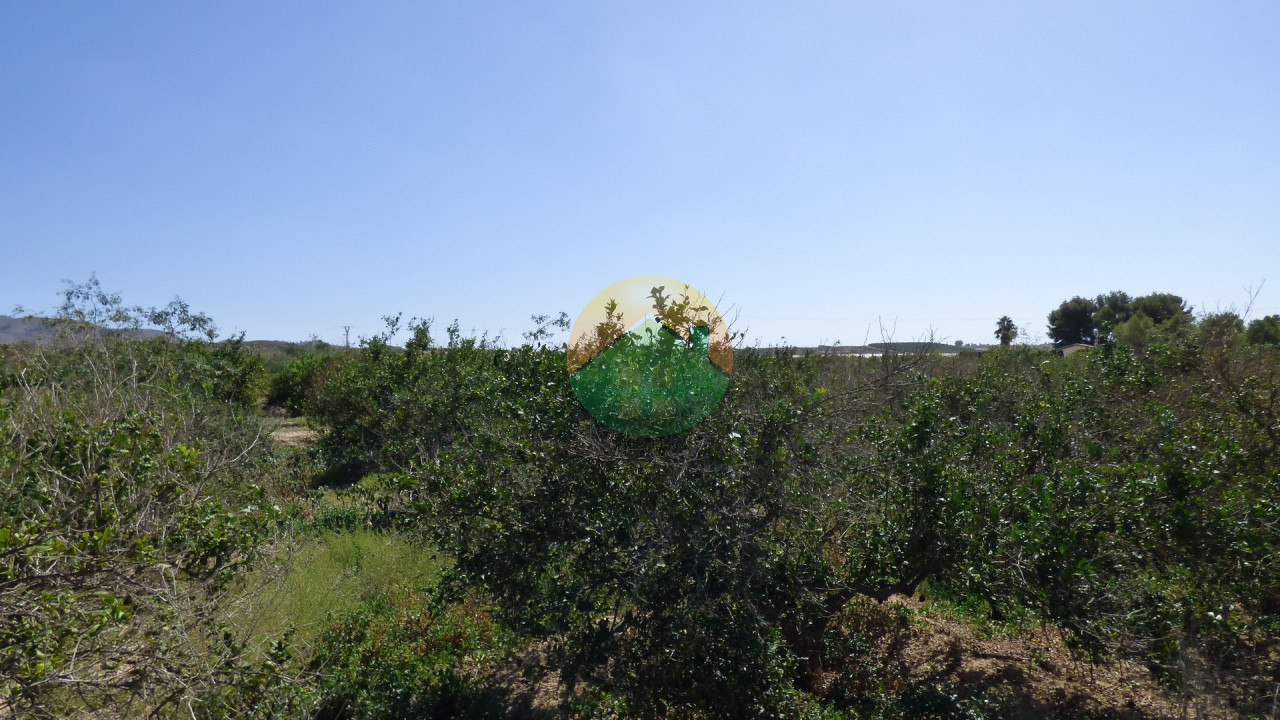 Plot For Sale - Alhama de Murcia