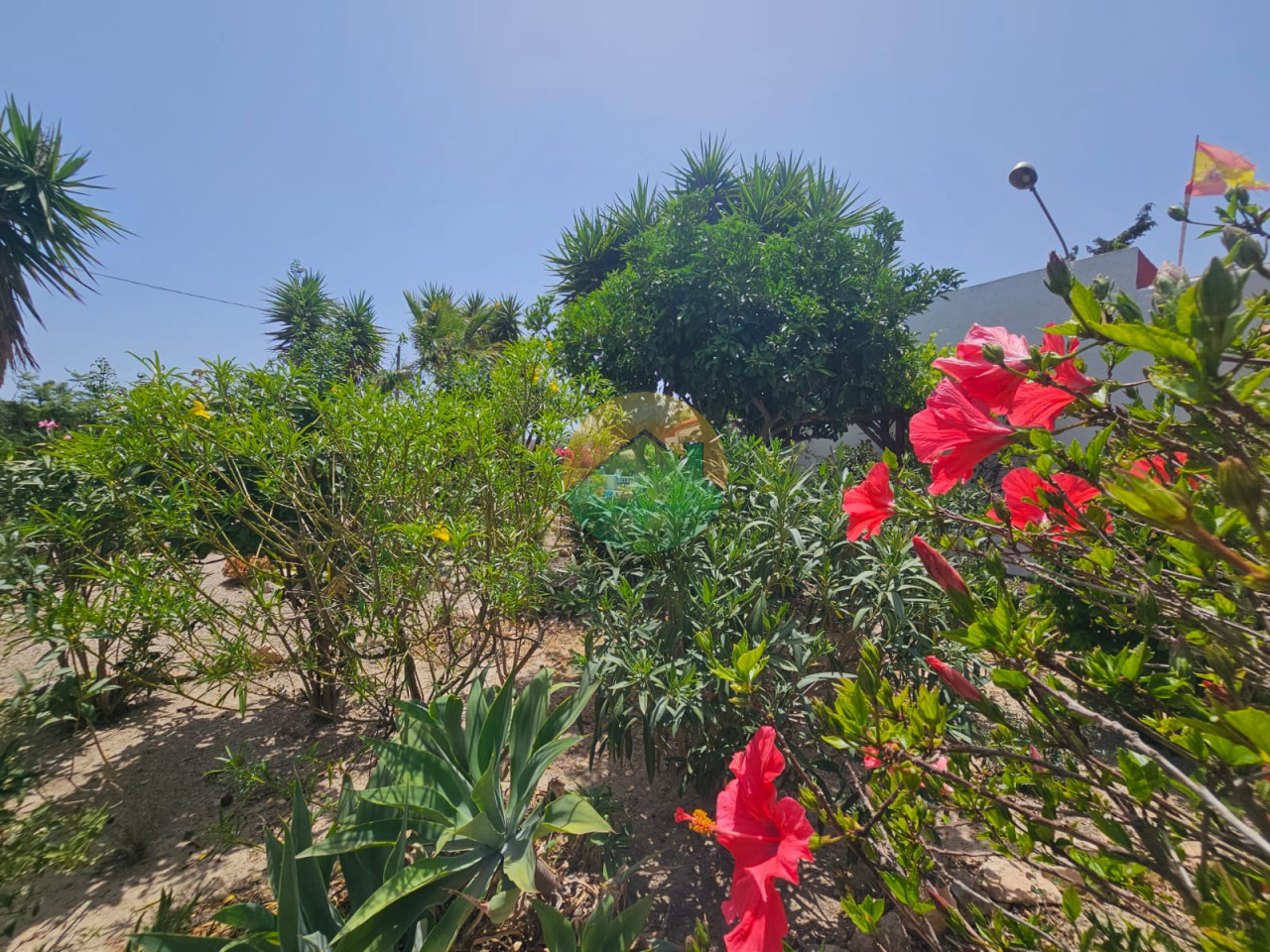 3 Bedroom Country House For Sale