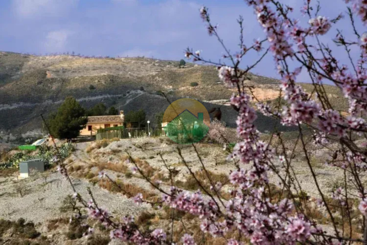 4 Bedroom Country house For Sale