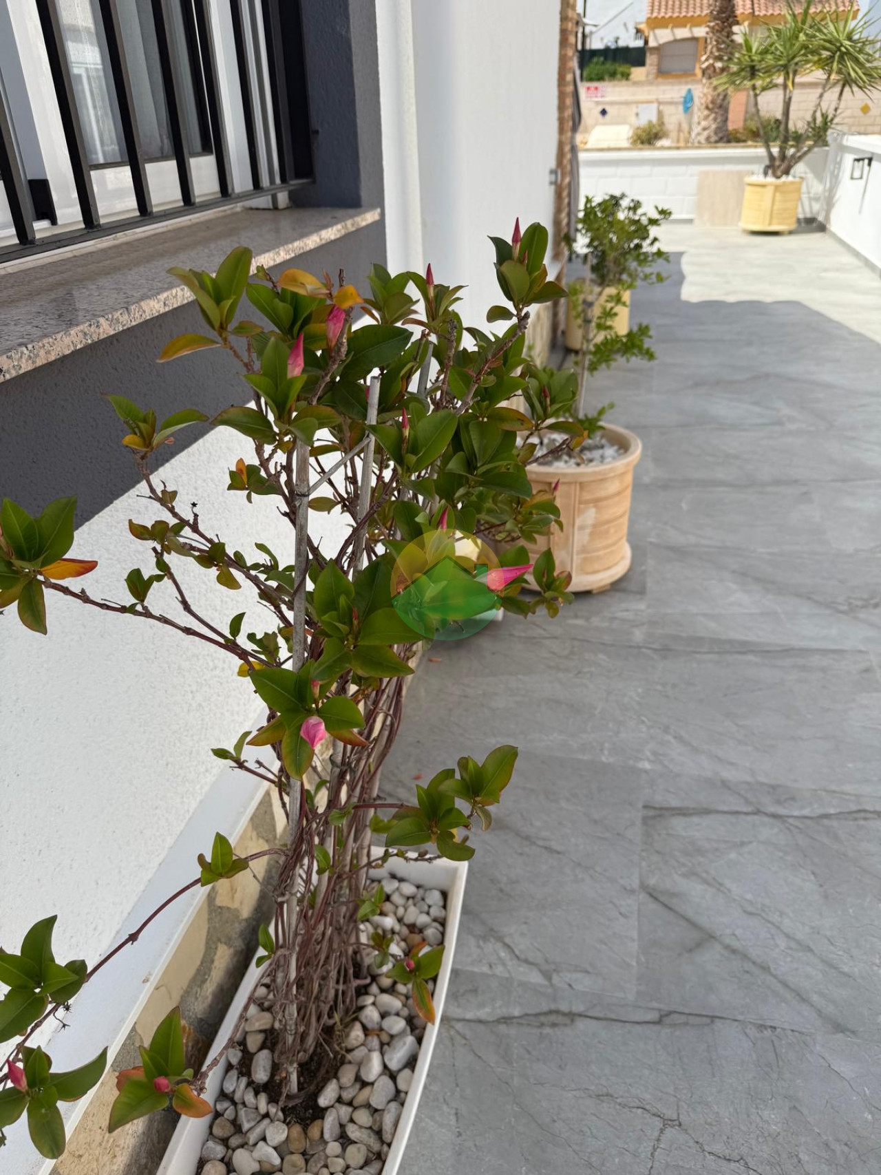 2 Bedroom Detached For Sale